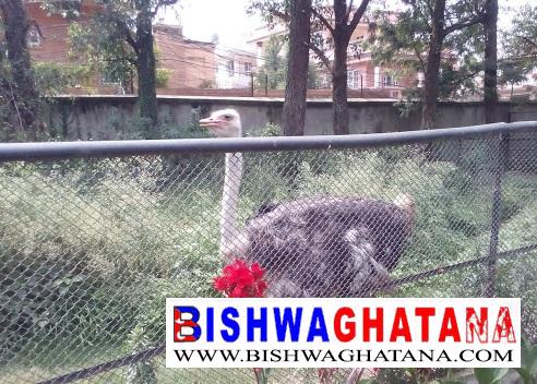 चैत ७ गते देखि चिडियाखाना बन्द